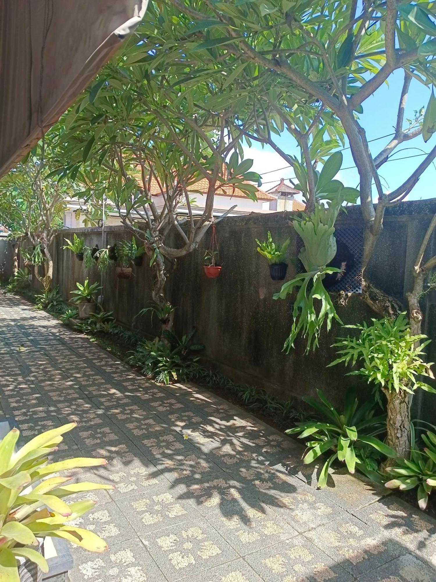 Taman Bali Homestay Sanur  Exterior photo